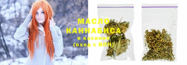хмурый Дмитриев