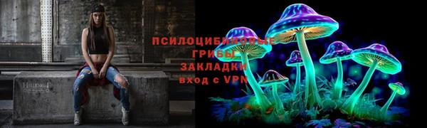 хмурый Дмитриев