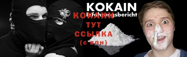 хмурый Дмитриев
