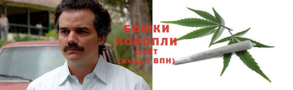 хмурый Дмитриев