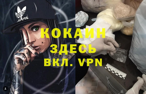 хмурый Дмитриев