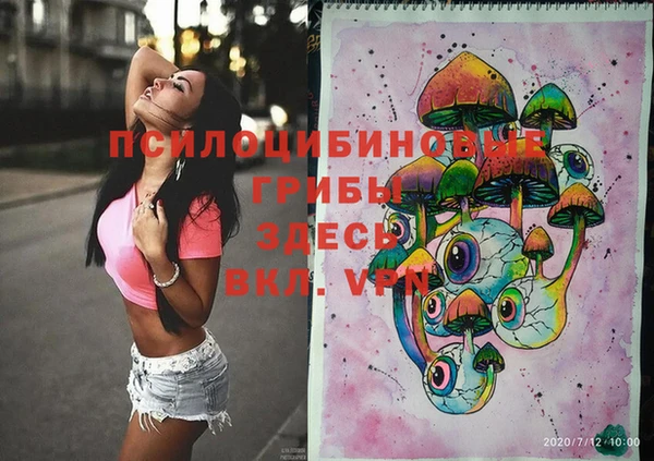 первитин Дмитровск