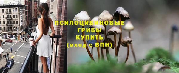 первитин Дмитровск