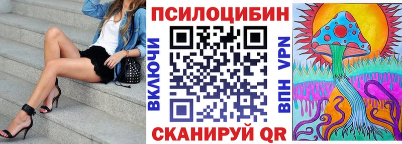 Галлюциногенные грибы Psilocybe  Купить где  Новотитаровская 